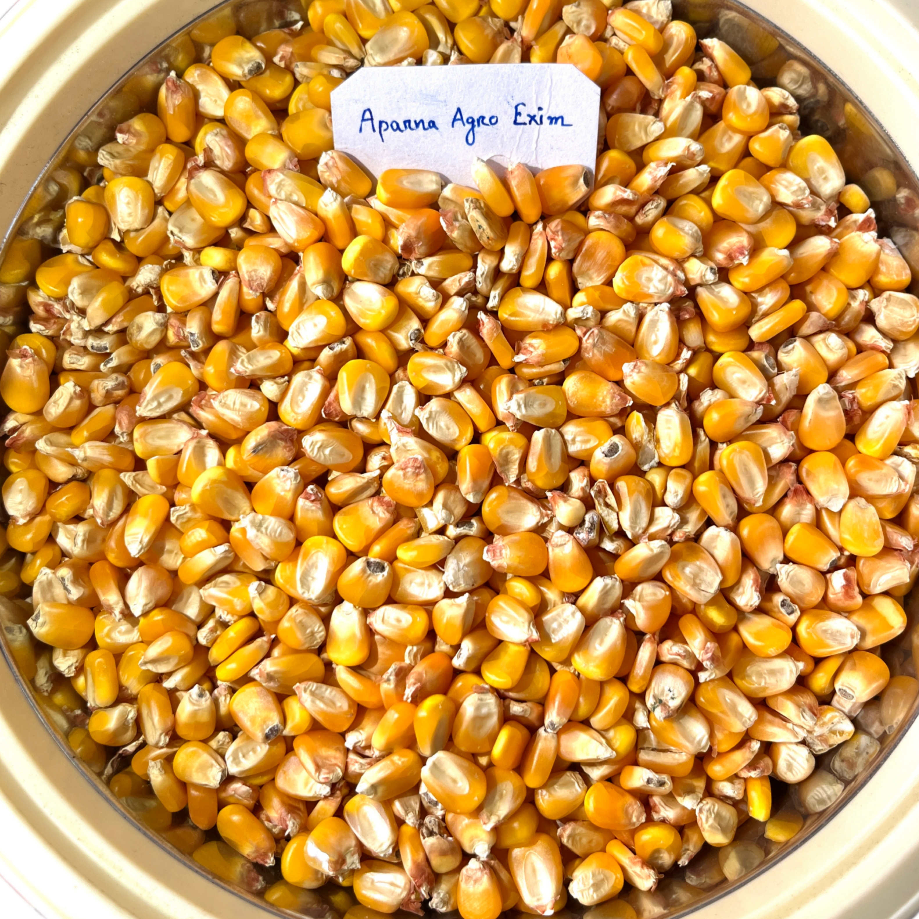 Corn
